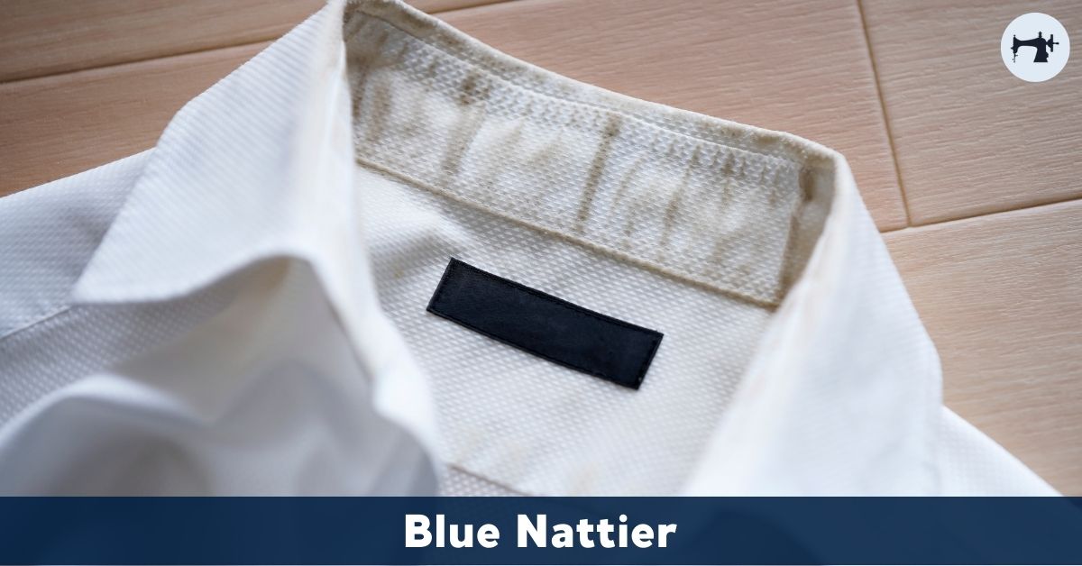 el cuello de una camisa blanca - Blue Nattier